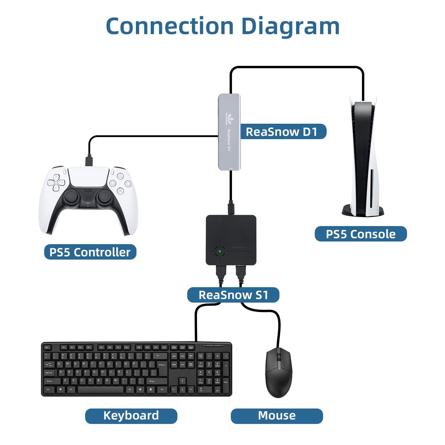 reasnow D1 ps5 コンバーター